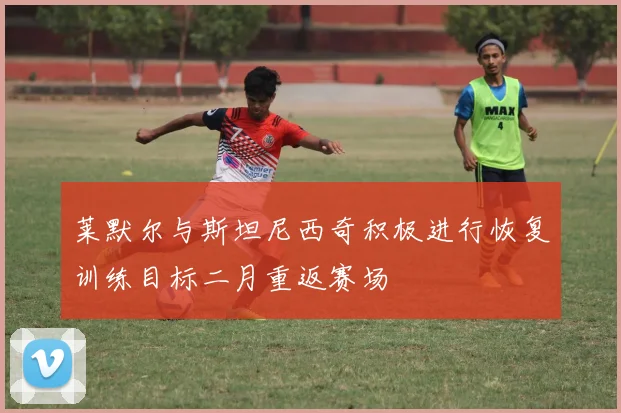 莱默尔与斯坦尼西奇积极进行恢复训练目标二月重返赛场