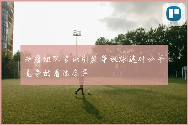 老詹组队言论引发争议球迷对公平竞争的看法各异