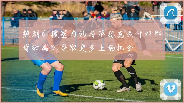 热刺引援塞内西与范赫克武什科维奇欲离队争取更多上场机会