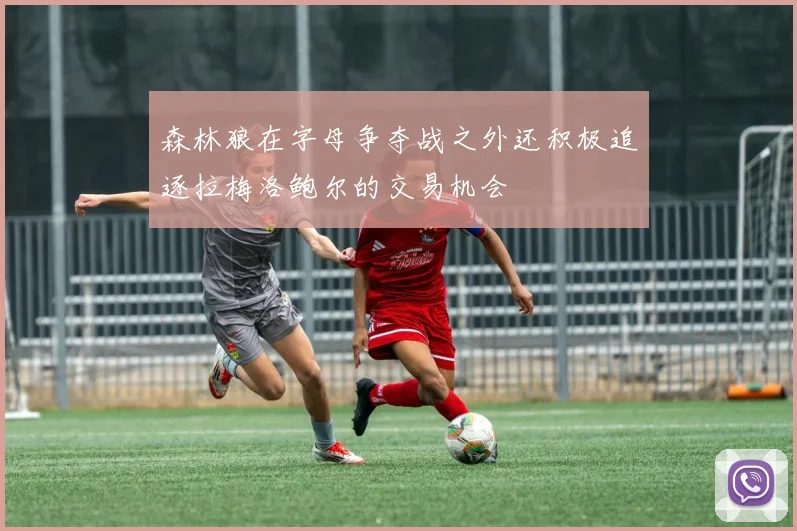 森林狼在字母争夺战之外还积极追逐拉梅洛鲍尔的交易机会